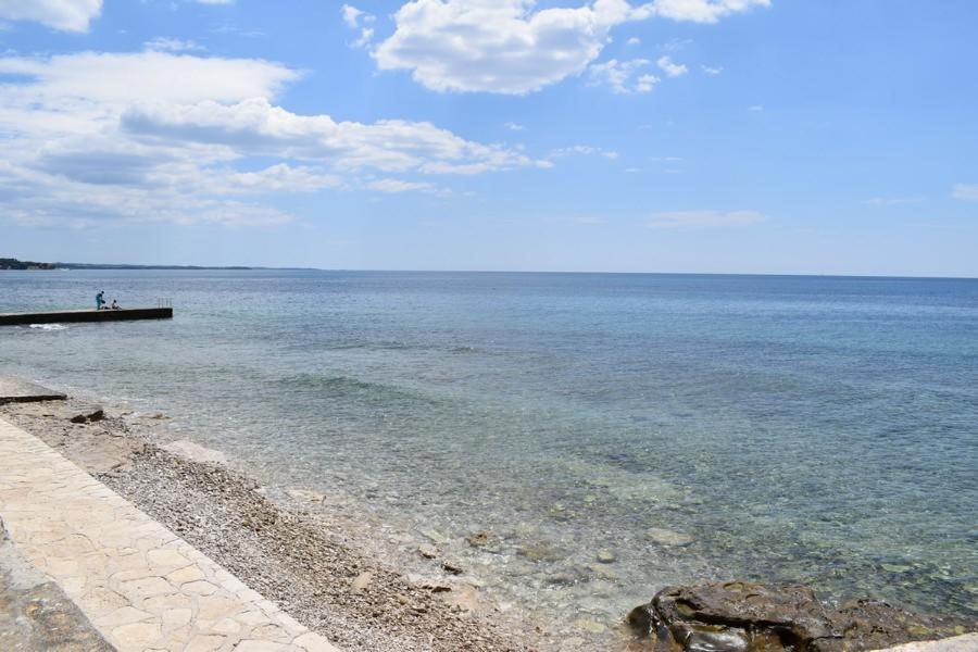Apartment Matea Novigrad Istria Exteriér fotografie