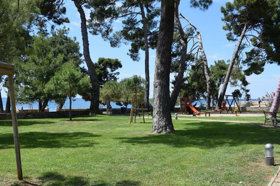 Apartment Matea Novigrad Istria Exteriér fotografie